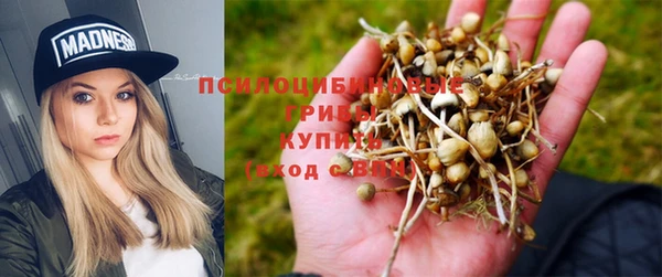 mdpv Абаза