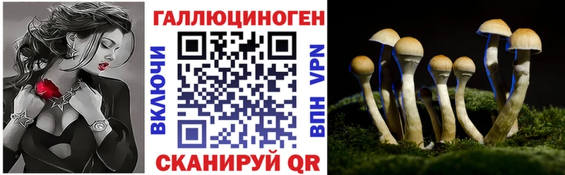 Псилоцибиновые грибы мухоморы  купить наркотики цена  Серпухов 